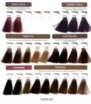 Inebrya Color - farba krem koloryzujący do włosów, 100ml - 4