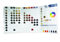 ARTISTIC farba do włosów Alternative Hair 100 ml - 2