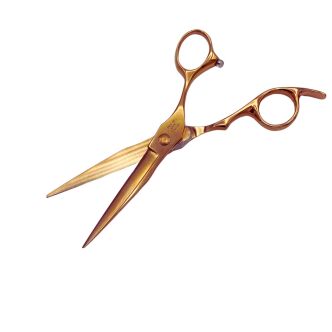 ARTE Profesjonalne Nożyczki Fryzjerskie Złote 5.5